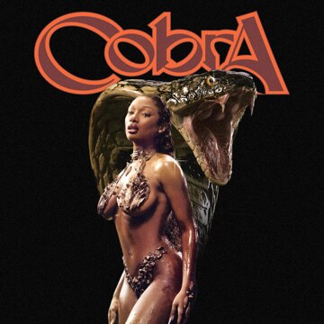 Obálka uvítací melodie Cobra