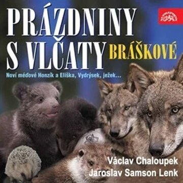 Obálka audioknihy Prázdniny s vlčaty