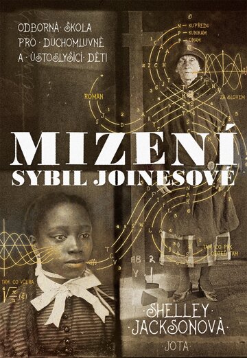 Obálka knihy Mizení Sybil Joinesové