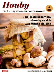 Magazín DNES SPECIÁL Jižní Čechy - 19.9.2023