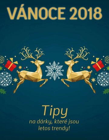 Obálka e-magazínu Exkluivni vanoční příloha 2018