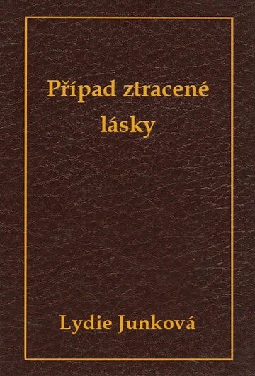 Obálka knihy Případ ztracené lásky