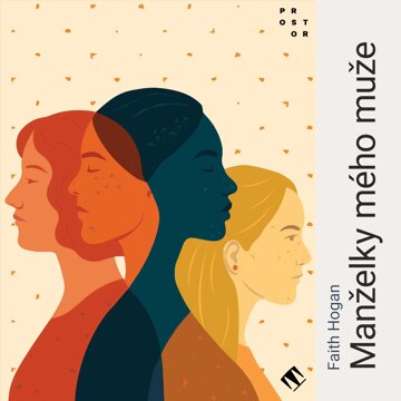 Obálka audioknihy Manželky mého muže