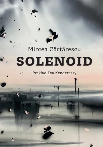 Obálka knihy Solenoid