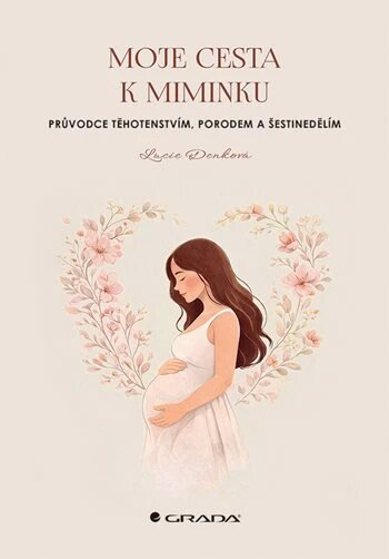 Obálka knihy Moje cesta k miminku