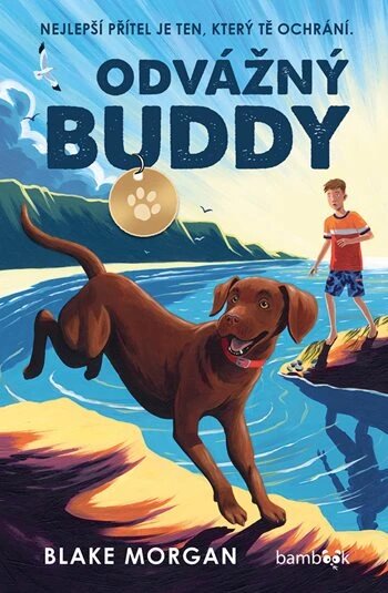 Obálka knihy Odvážný Buddy