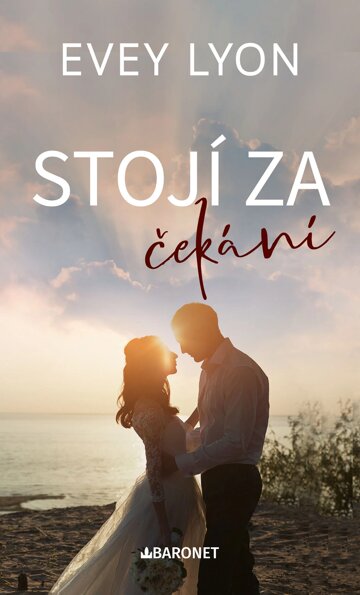 Obálka knihy Stojí za čekání