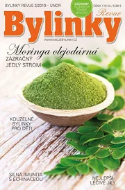 Bylinky 2/19