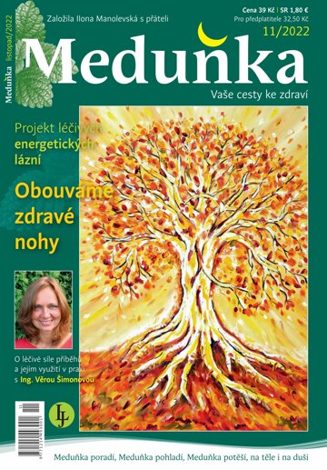Obálka e-magazínu Meduňka 11/2022