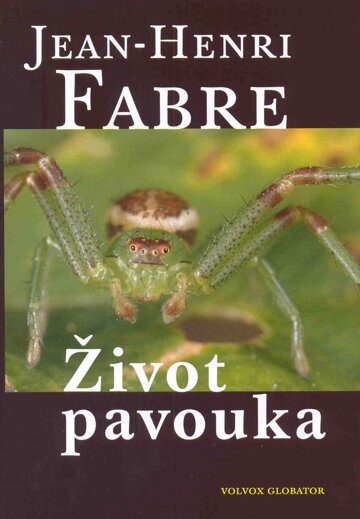 Obálka knihy Život pavouka