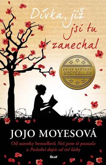 Obálka knihy Dívka, již jsi tu zanechal