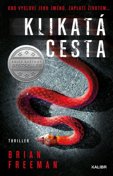 Obálka knihy Klikatá cesta