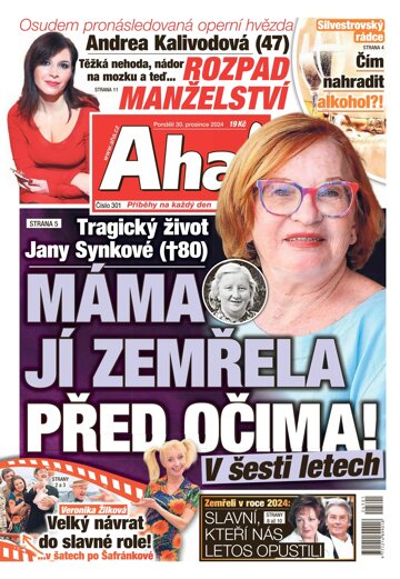Obálka e-magazínu AHA! 30.12.2024