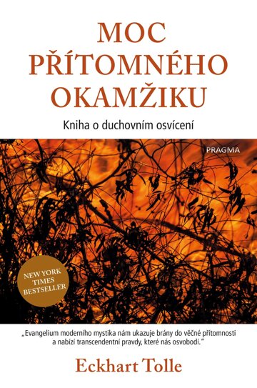 Obálka knihy Moc přítomného okamžiku