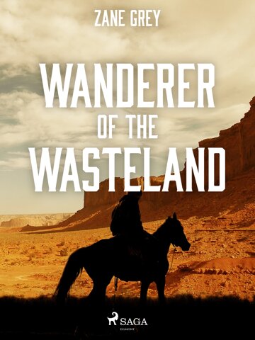 Obálka knihy Wanderer of the Wasteland