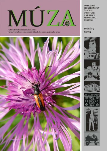 Obálka e-magazínu MÚZA 1/2015_764914055557b31da92f3b