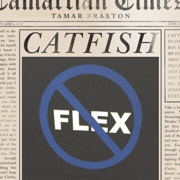 Obálka uvítací melodie Catfish