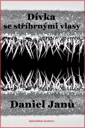 Obálka knihy Dívka se stříbrnými vlasy