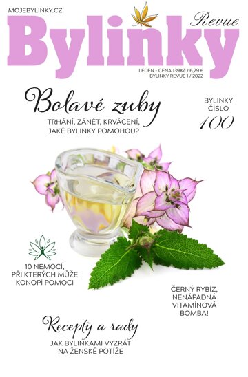 Obálka e-magazínu Bylinky 1/22