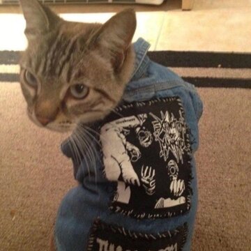 Obálka uvítací melodie Forgive