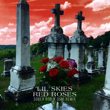 Obálka uvítací melodie Red Roses (Sober Rob & Oshi Remix)