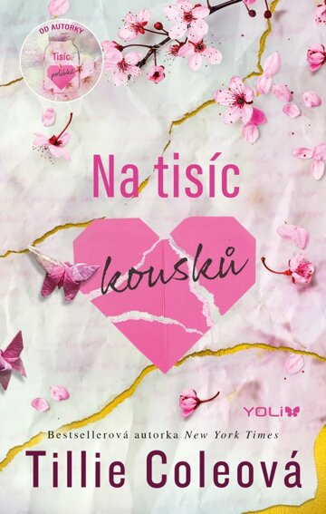 Obálka knihy Na tisíc kousků