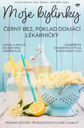 Obálka e-magazínu Bylinky 6/25