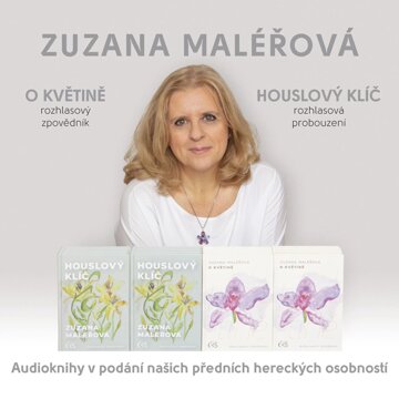 Obálka audioknihy O květině & Houslový klíč