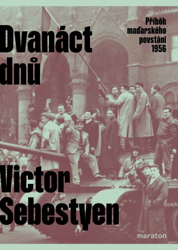 Obálka knihy Dvanáct dnů