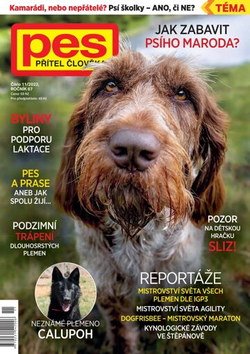 Obálka e-magazínu Pes přítel člověka 11/2022