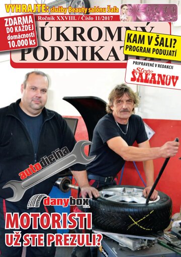 Obálka e-magazínu Súkromný podnikateľ 11/2017