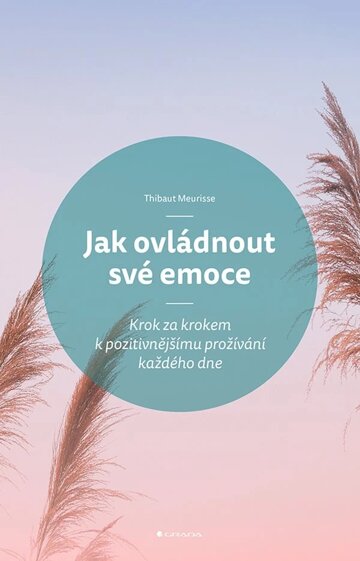 Obálka knihy Jak ovládnout své emoce