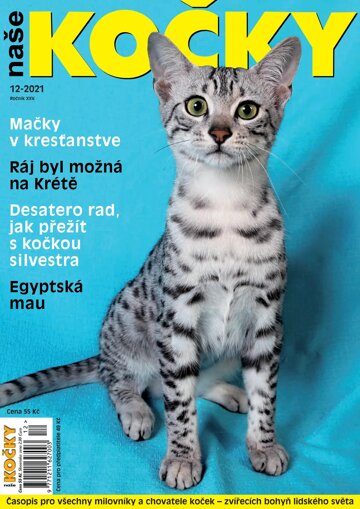 Obálka e-magazínu Naše kočky 12/2021