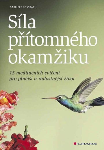 Obálka knihy Síla přítomného okamžiku