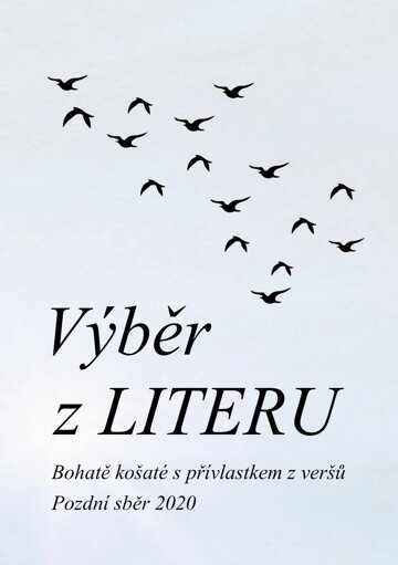 Obálka knihy Výběr z LITERU