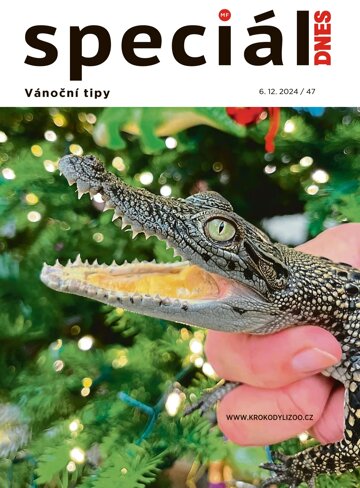 Obálka e-magazínu Magazín DNES SPECIÁL Jižní Čechy - 6.12.2024