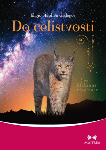 Obálka knihy Do celistvosti