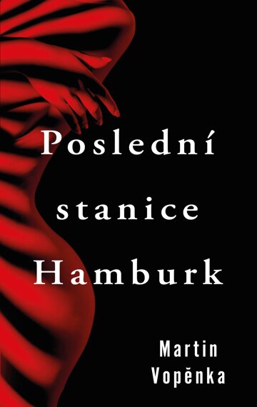 Obálka knihy Poslední stanice Hamburk