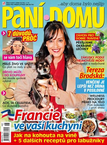 Obálka e-magazínu Paní domu 6/17