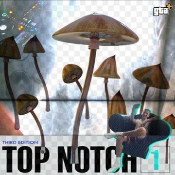Obálka uvítací melodie Top Notch