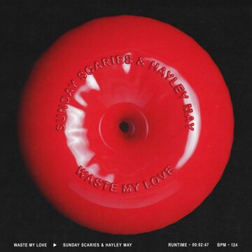 Obálka uvítací melodie Waste My Love