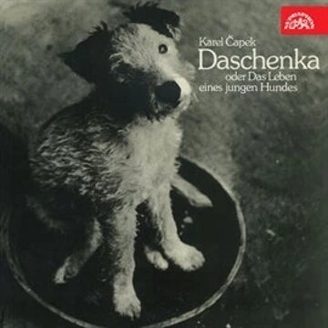 Obálka audioknihy Daschenka oder das Leben eines jungen Hundes