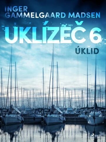 Obálka knihy Uklízeč 6: Úklid