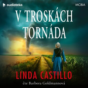 Obálka audioknihy V troskách tornáda