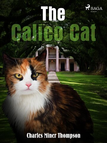 Obálka knihy The Calico Cat