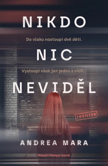 Obálka knihy Nikdo nic neviděl