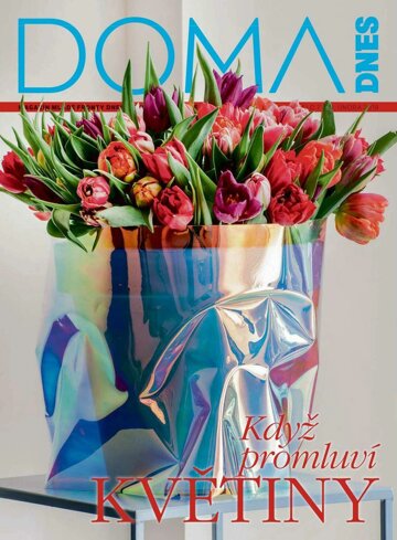 Obálka e-magazínu Doma DNES 13.2.2019