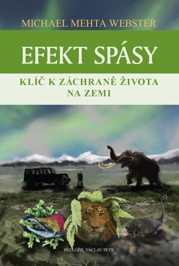 Obálka knihy Efekt spásy