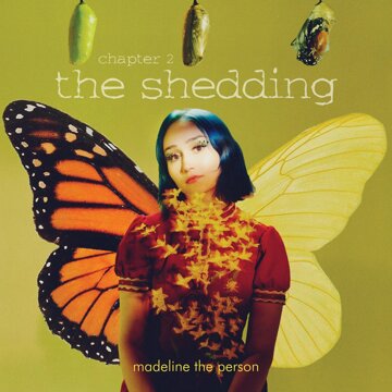Obálka uvítací melodie Growing Pains