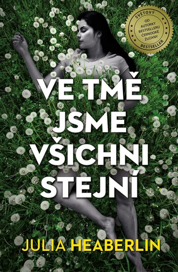 Obálka knihy Ve tmě jsme všichni stejní